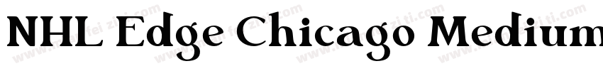 NHL Edge Chicago Medium字体转换